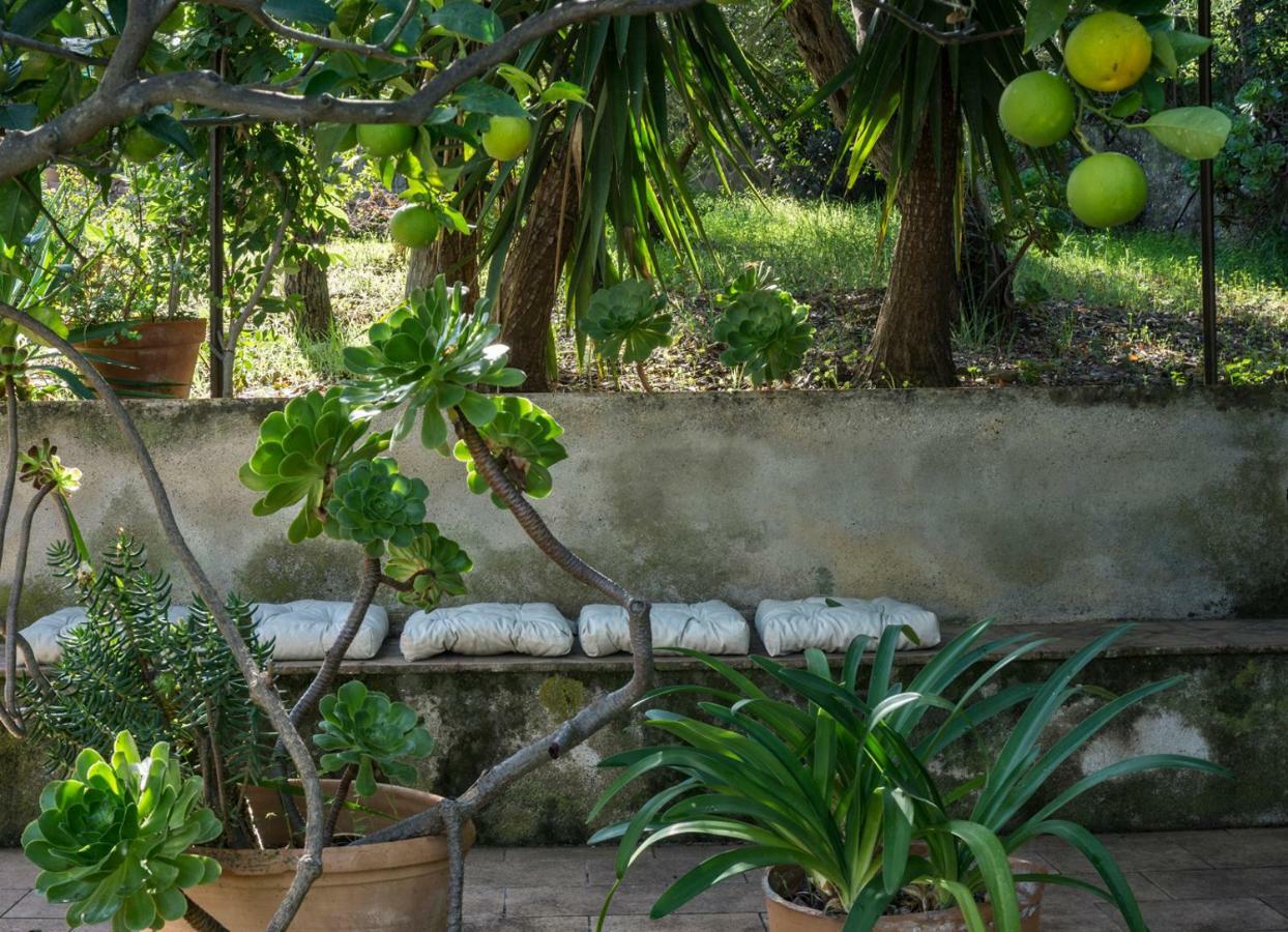 Villa Santa Lucia Cefalu Bagian luar foto